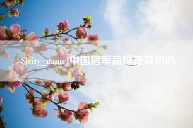 老河口中国冠军品牌是真的吗