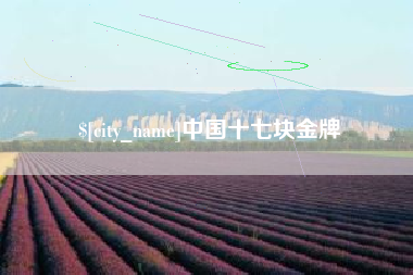 老河口中国十七块金牌