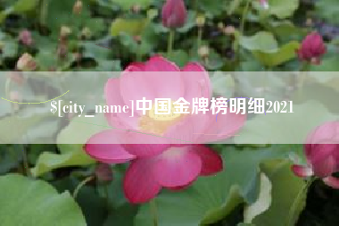 老河口中国金牌榜明细2021