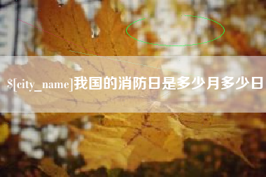 老河口我国的消防日是多少月多少日