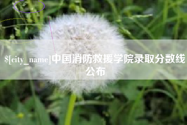 老河口中国消防救援学院录取分数线公布
