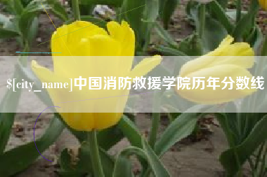 老河口中国消防救援学院历年分数线