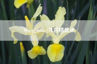 老河口九宫格优点