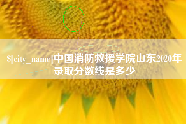 老河口中国消防救援学院山东2020年录取分数线是多少