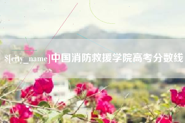 老河口中国消防救援学院高考分数线