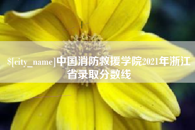 老河口中国消防救援学院2021年浙江省录取分数线