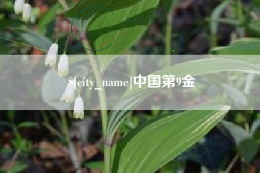 老河口中国第9金