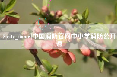 老河口中国消防官网中小学消防公开课