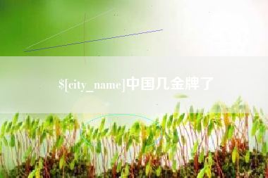 老河口中国几金牌了
