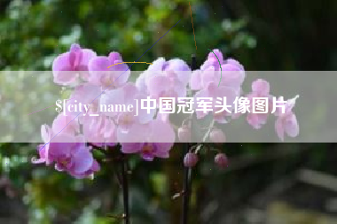 老河口中国冠军头像图片