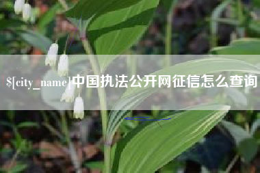 老河口中国执法公开网征信怎么查询