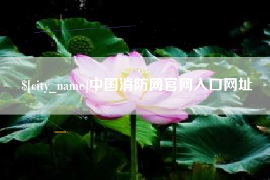 老河口中国消防网官网入口网址