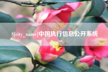 老河口中国执行信息公开系统