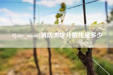 老河口消防大学分数线是多少