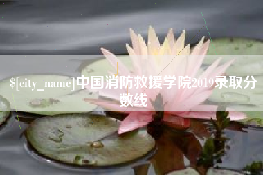 老河口中国消防救援学院2019录取分数线