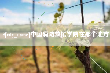 老河口中国消防救援学院在那个地方