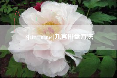 老河口九宫排盘方法