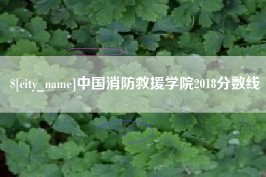老河口中国消防救援学院2018分数线