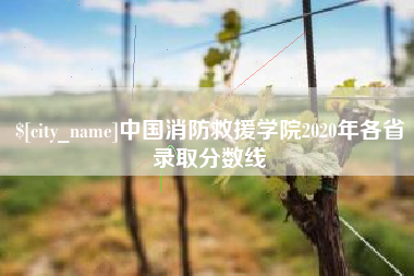 老河口中国消防救援学院2020年各省录取分数线