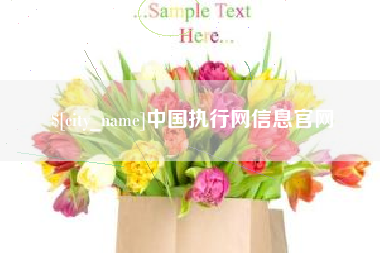 老河口中国执行网信息官网