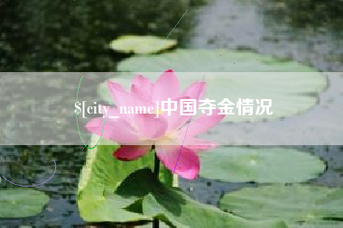 老河口中国夺金情况