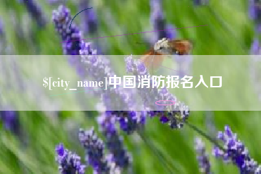 老河口中国消防报名入口