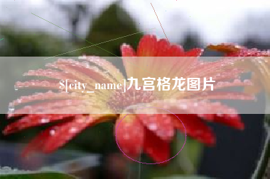 老河口九宫格龙图片