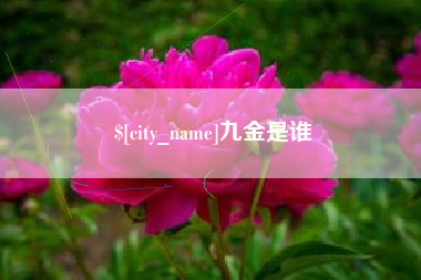 老河口九金是谁