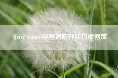 老河口中国消防在线直播回放