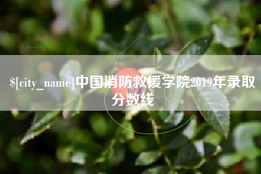 老河口中国消防救援学院2019年录取分数线