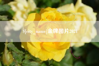 老河口金牌图片2021