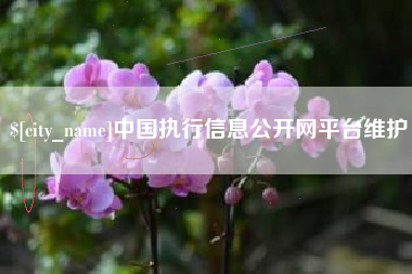 老河口中国执行信息公开网平台维护