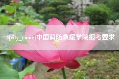 老河口中国消防救援学院报考要求