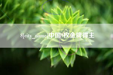 老河口中国9枚金牌得主