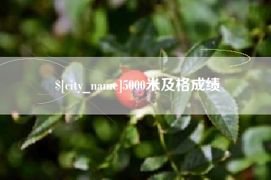 老河口5000米及格成绩