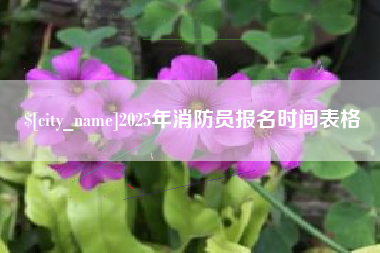老河口2025年消防员报名时间表格