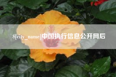 老河口中国执行信息公开网后