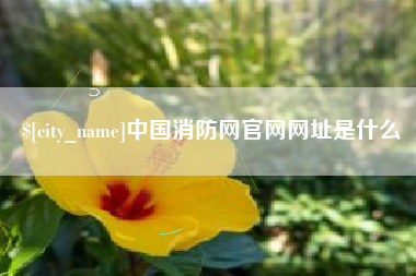 老河口中国消防网官网网址是什么