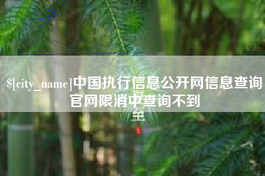 老河口中国执行信息公开网信息查询官网限消中查询不到