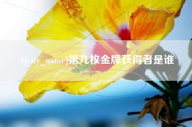 老河口第九枚金牌获得者是谁