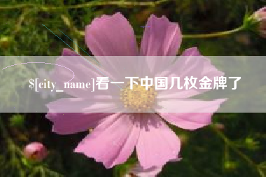 老河口看一下中国几枚金牌了