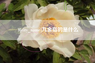 老河口九金指的是什么