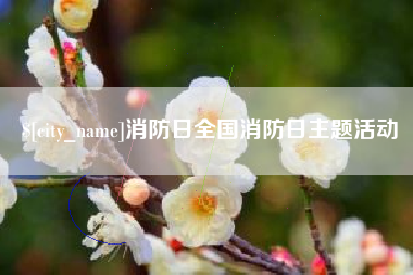老河口消防日全国消防日主题活动