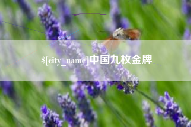 老河口中国九枚金牌
