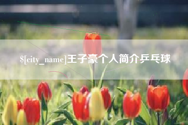 老河口王子豪个人简介乒乓球