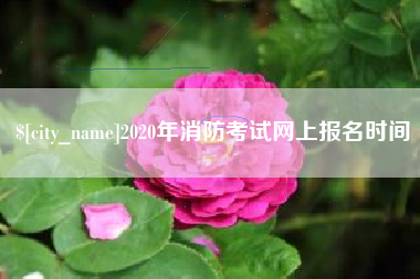 老河口2020年消防考试网上报名时间