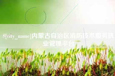 老河口内蒙古自治区消防技术服务执业管理平台