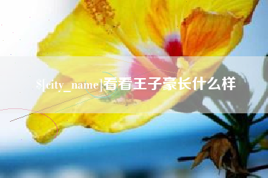 老河口看看王子豪长什么样