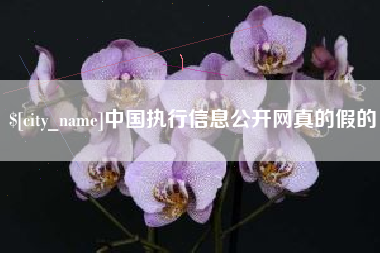 老河口中国执行信息公开网真的假的