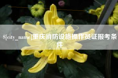 老河口重庆消防设施操作员证报考条件